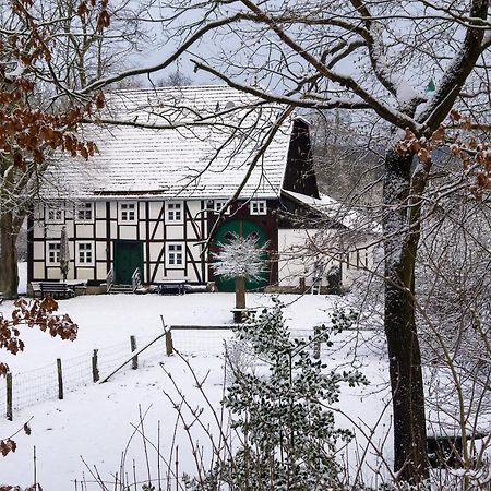 Suffelmuehle Villa Bad Driburg Eksteriør billede